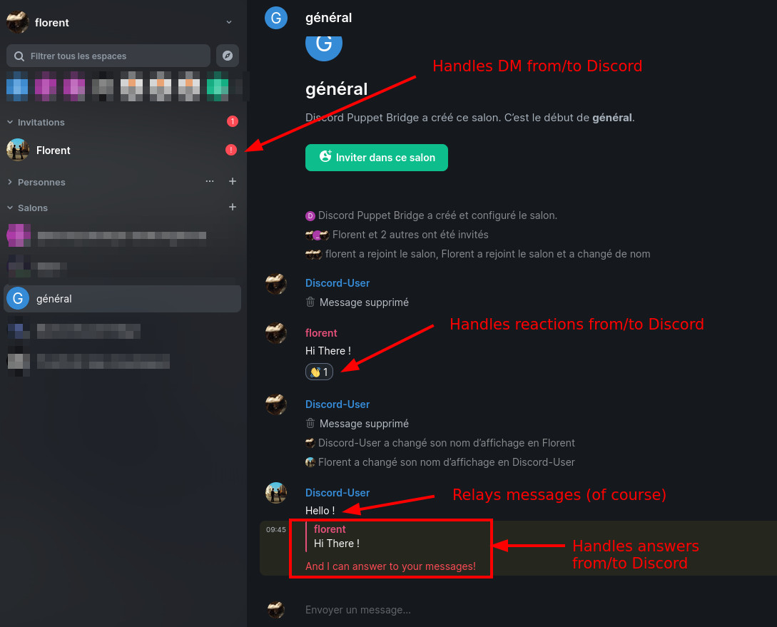 Screenshot of Matrix-Discord bridge